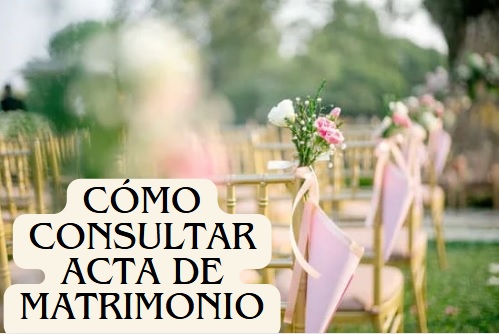 Consultar Acta de Matrimonio