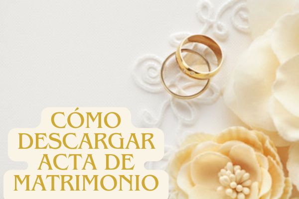 Descargar Acta de Matrimonio